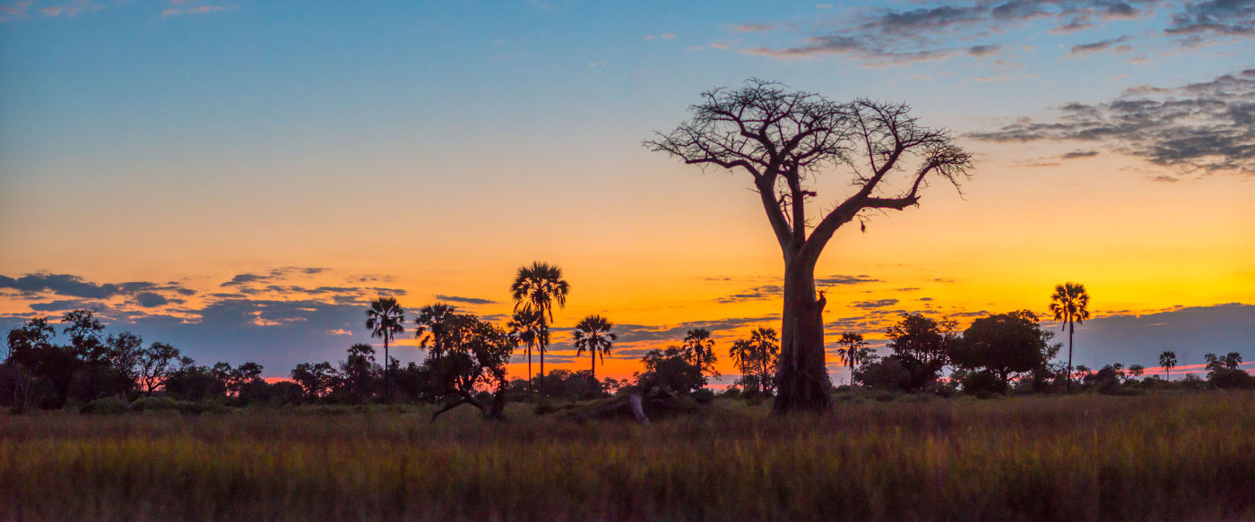 29 Day Vic Falls, Botswana, Namibia & South Africa Safari