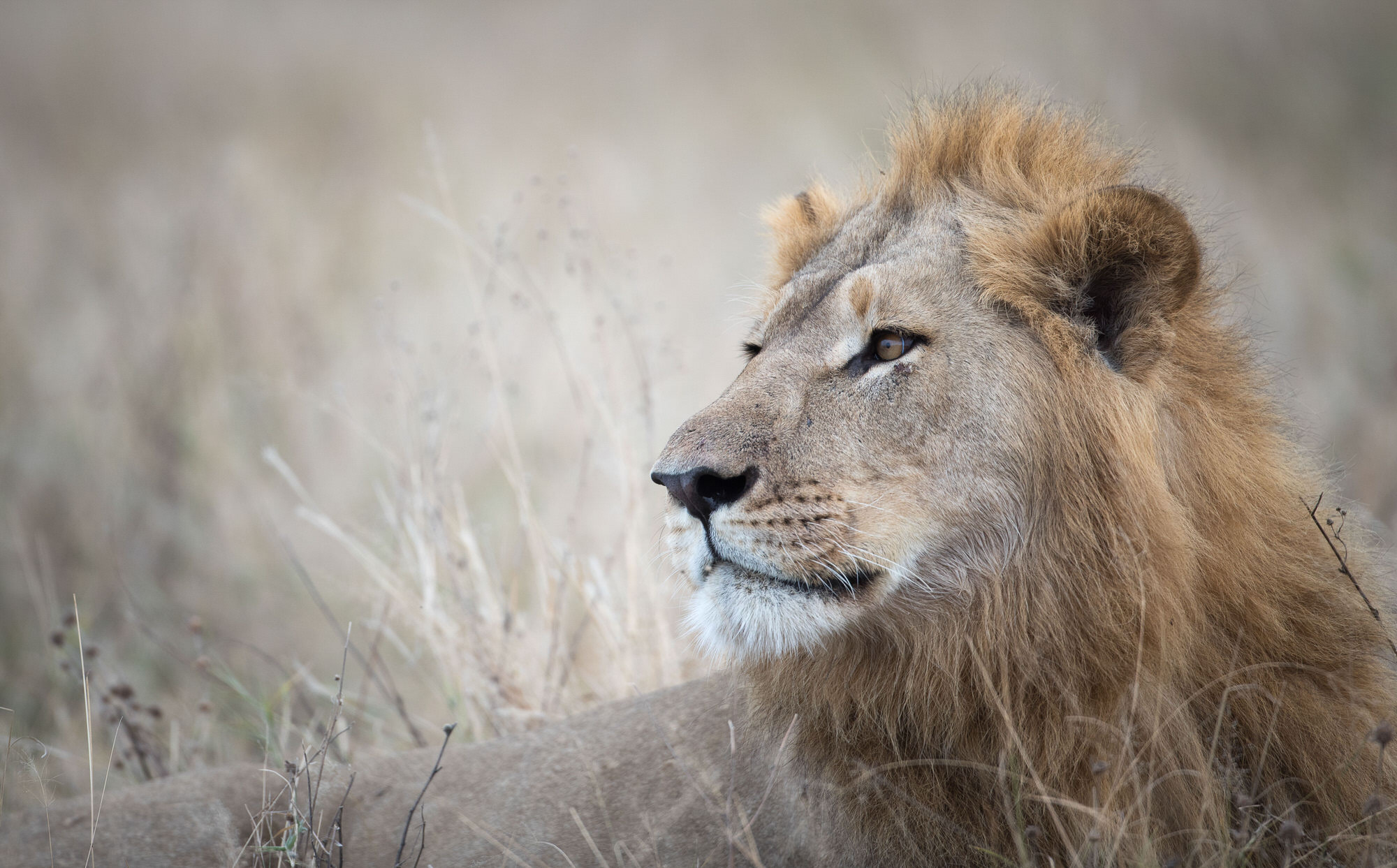 10 Day Botswana Northern Highlights - Northbound