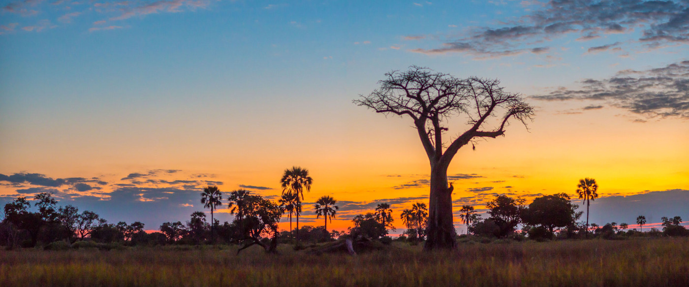 Dickinson x 2 - Option 1 - 18 Day Southern African Safari