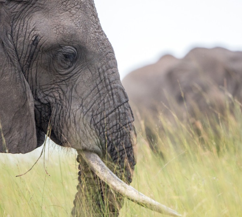 12 Day Kruger, Victoria Falls and Hwange Safari for Tracey, Robyn and Kerrie - image 3