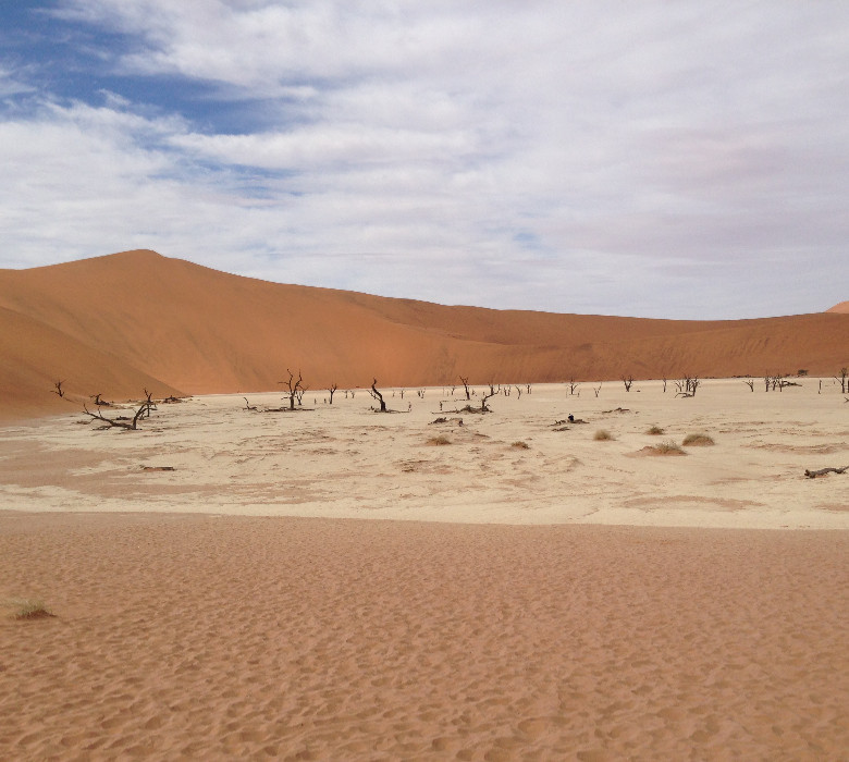 29 Day Vic Falls, Botswana, Namibia & South Africa Safari - image 3