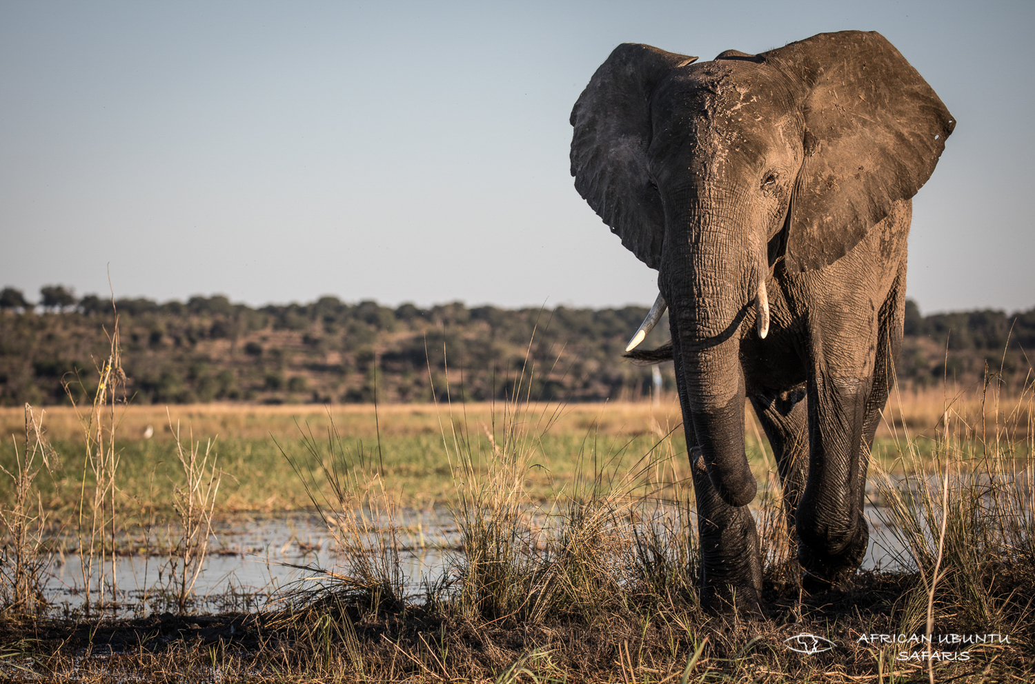Chobe National Park