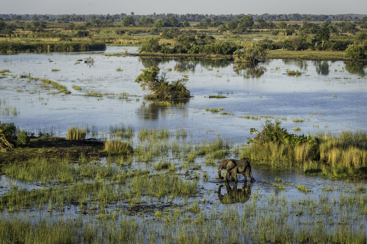 Okavango Delta