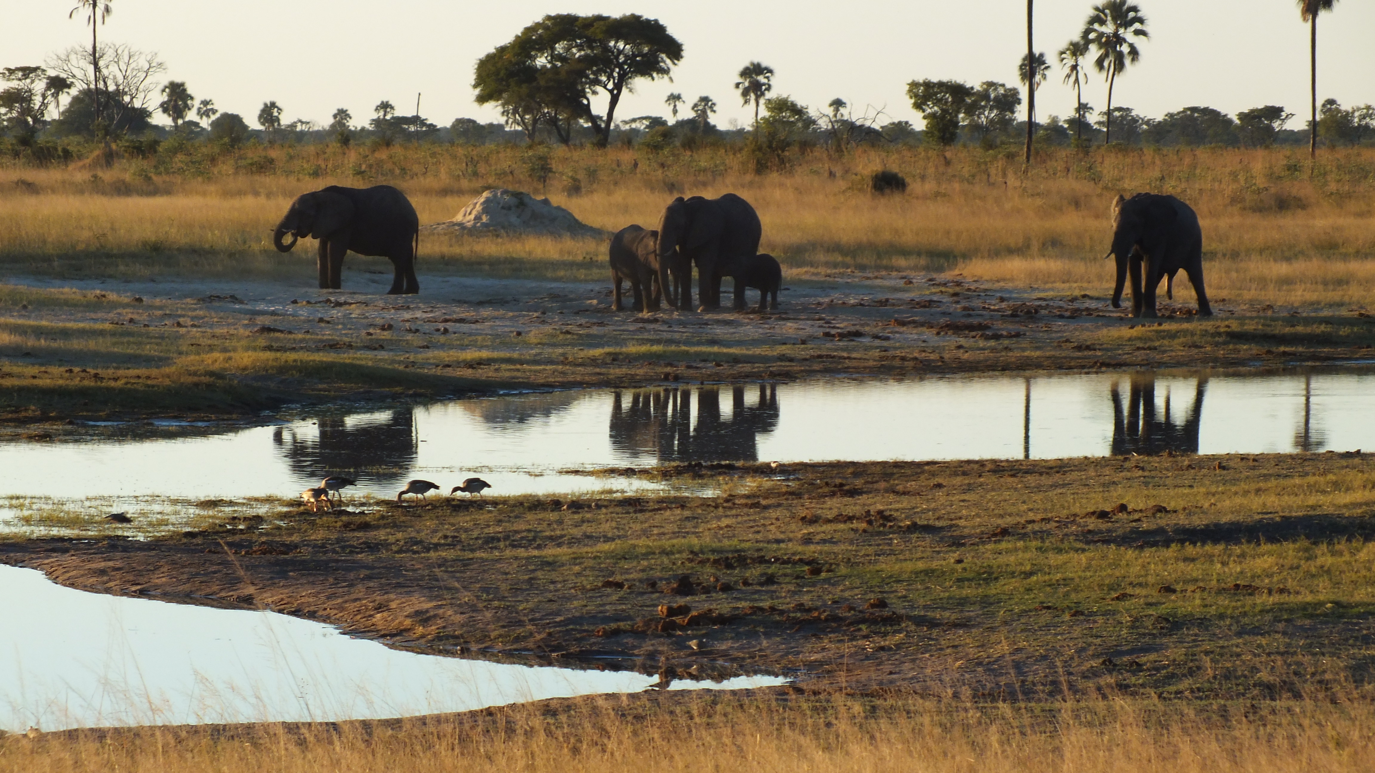 Hwange National Park