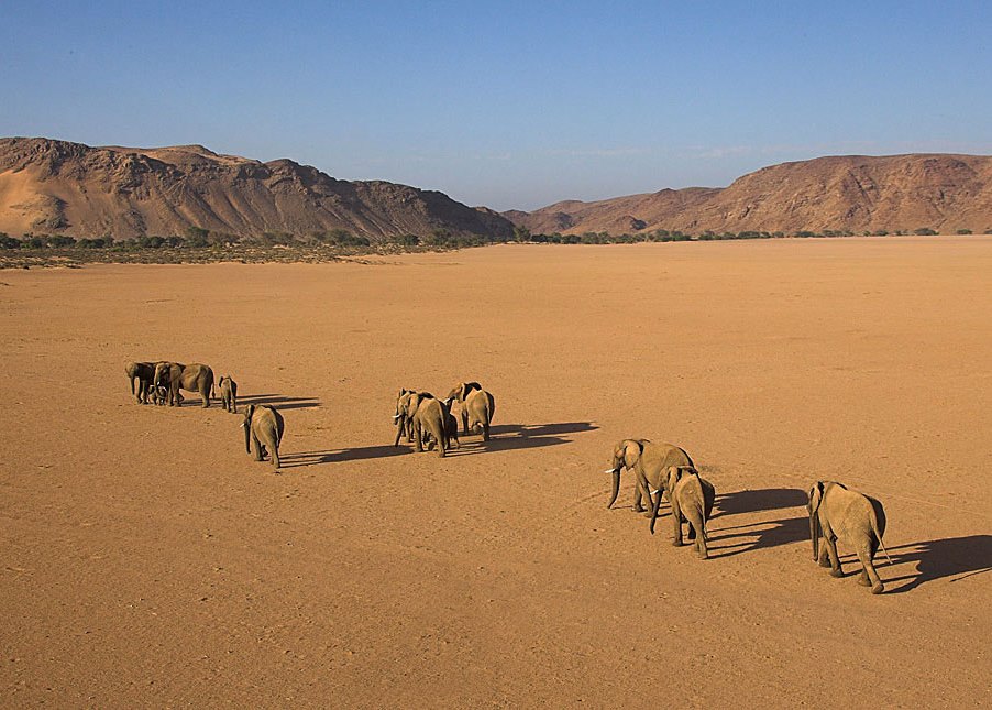 Damaraland